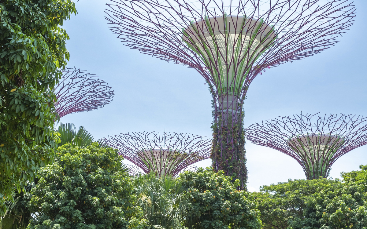 Gardens by the Bay