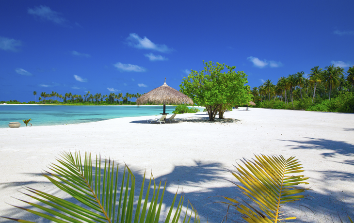 Der Strand auf den Malediven