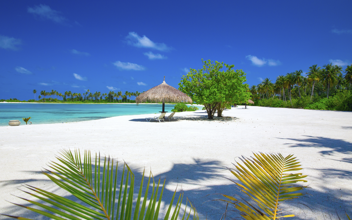 Der Strand auf den Malediven