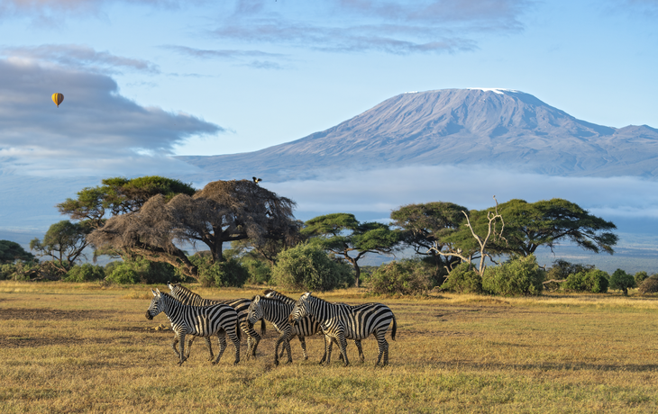 Safari, Amboseli Nationalpark