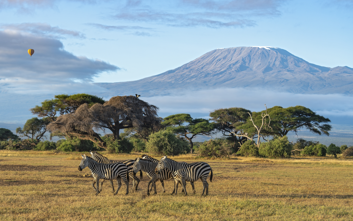Safari, Amboseli Nationalpark