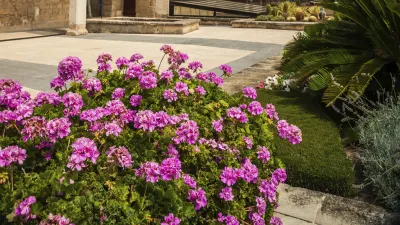 Historische Palastfassade mit blühenden Pflanzen im Vordergrund