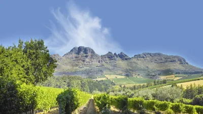 Weinberge erstrecken sich vor den Bergen in Südafrika