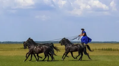 Puszta Pferdeshow, Ungarn