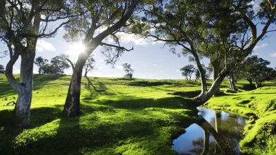 Grüner Hügel mit einem kleinen Bachlauf an einem sonnigen Tag.
