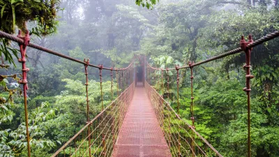 Hängebrücke führt durch dichten, grünen Regenwald.
