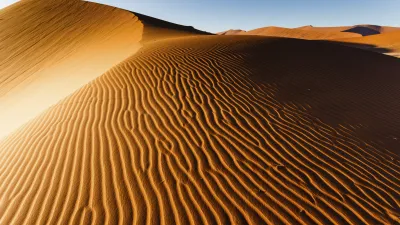 Wüstenlandschaft mit goldenen Sanddünen unter blauem Himmel.