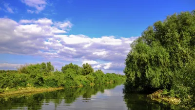 Grüner Flusslauf mit dichter Vegetation an den Ufern.