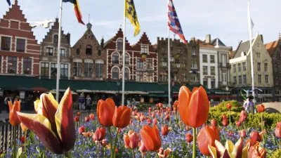 Bunte Tulpen blühen vor historischen Gebäuden in Brügge.