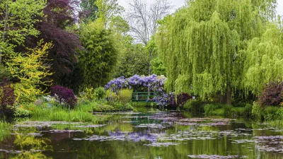 Blühender Teich mit Seerosen und üppiger Vegetation im Garten.