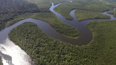 Amazonas-Fluss schlängelt sich durch dichten Regenwald.