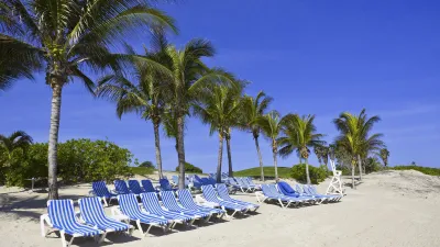 Liegestühle stehen am sonnigen Strand unter Palmen.