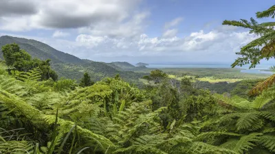 Grüner Regenwald mit Blick auf das Meer und die Küste.