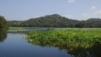 Ein Boot fährt auf dem Gatunsee in Panama an üppiger Vegetation vorbei.