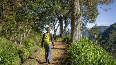 Wanderer geht auf einem Pfad durch grüne Landschaft in Madeira.
