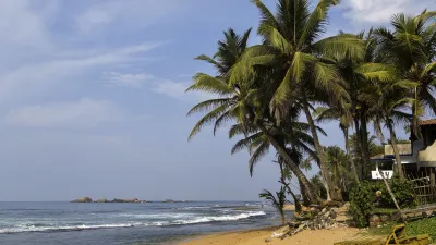 Palmen säumen den goldenen Strand in Sri Lanka.