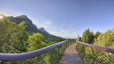 Holzsteg im Botanischen Garten Kirstenbosch mit Blick auf die Berge