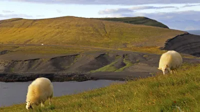 Zwei weiße Schafe grasen auf einer grünen Wiese mit Blick auf das Meer.
