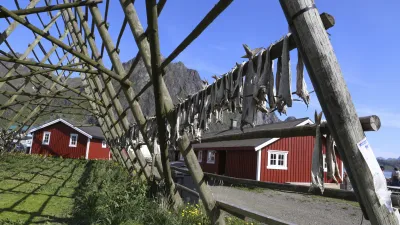 Trocknende Fischreihen vor roten Holzhäusern in Svolvær, Norwegen