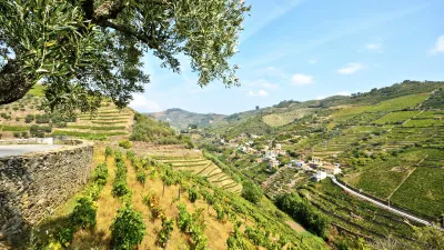 Weinberge erstrecken sich über die Hügel in einem portugiesischen Tal.