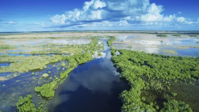 Sumpflandschaft mit Vegetation und Wasserläufen im Everglades Nationalpark.