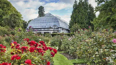 Roter Rosen Garten mit dem Cunningham Haus im Hintergrund