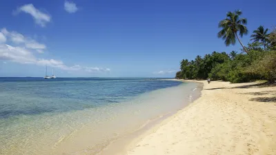 Türkisblaues Wasser trifft auf einen goldenen Sandstrand mit Palmen.