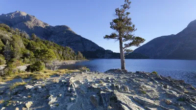 Ein Baum steht am Ufer eines Sees mit Bergen im Hintergrund.