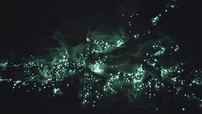 Glühende Würmchen erleuchten die dunkle Höhle in Neuseeland.