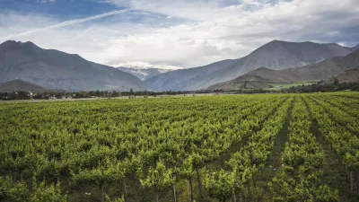 Weinberge erstrecken sich im Elqui-Tal in Chile bis zu den Bergen.