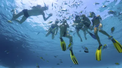 Schnorchler schwimmen mit bunten Fischen im blauen Meer.