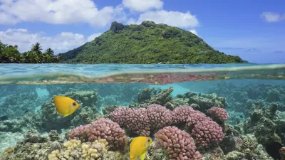 Bunte Korallenriffe und Fische unter der Wasserlinie mit Berg im Hintergrund