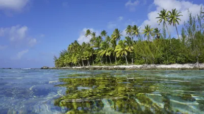 Tropische Insel mit Palmen spiegelt sich im klaren Meer