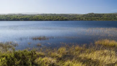 Stilles Wasser des Curacao-Sees im Chiloe-Nationalpark.