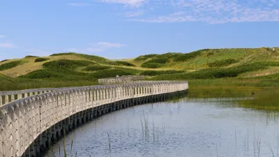 Hölzerner Steg führt durch die grüne Landschaft des Nationalparks.