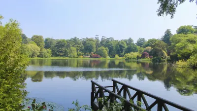 Spiegelung der Bäume im ruhigen See