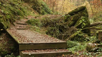 Holzstufen führen durch einen herbstlichen Wald.