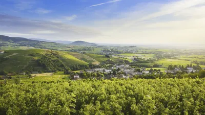 Weinberge erstrecken sich über die Hügel der französischen Landschaft.