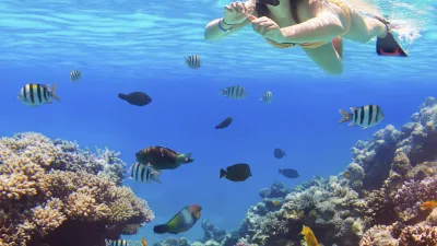 Eine Frau schnorchelt inmitten bunter Fische und Korallen.