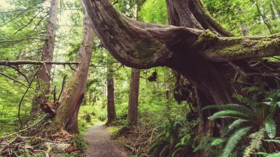 Die Plaza de España in Sevilla zeigt beeindruckende Architektur und einen Brunnen.