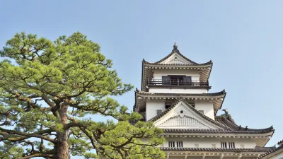 Weiße japanische Burg mit dunklem Dach vor blauem Himmel.