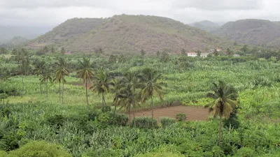 Grüne Felder und Palmen vor den Bergen auf Kap Verde