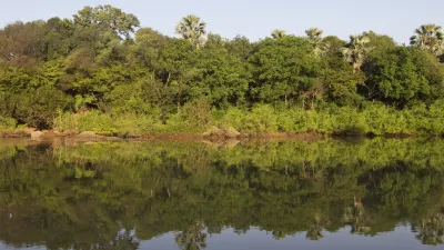Grüner Flusslauf mit dichter Vegetation am Ufer.