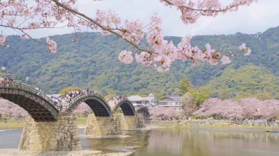 Historische Kintai-Brücke mit blühenden Kirschbäumen im Hintergrund