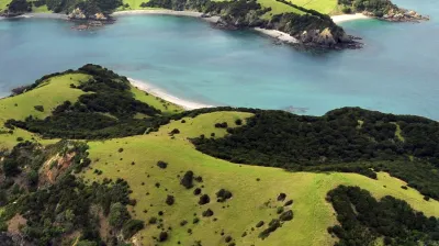 Grüne Hügel und türkisfarbene Buchten prägen die neuseeländische Küstenlandschaft.