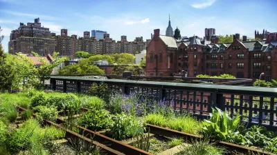 Hochbahn-Park High Line mit üppiger Bepflanzung und Stadtblick