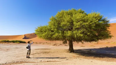 Namib-Naukluft-Nationalpark