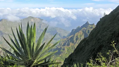Grüne Pflanzen stehen vor einer bergigen Landschaft mit Wolken.