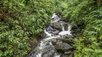 Wilder Wasserfall fließt über Felsen durch üppige Vegetation.