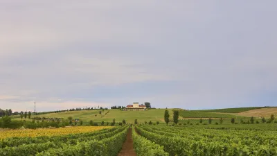 Weinberge erstrecken sich bis zum Hügel mit dem Gebäude.